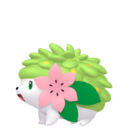 Shaymin | National dex number: 0492