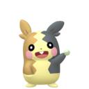 Morpeko | National dex number: 0877