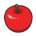 Pokémon item: sweet-apple