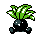 Oddish