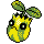 Sunkern