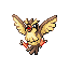 Pidgey