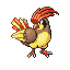 Pidgeotto