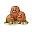 Dugtrio