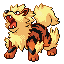 Arcanine