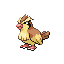 Pidgey | National dex number: 0016