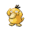 Psyduck | National dex number: 0054