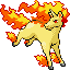 Rapidash | National dex number: 0078