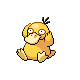 Psyduck | National dex number: 0054
