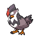 Staraptor | National dex number: 0398