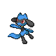 Riolu | National dex number: 0447