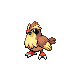 Pidgey | National dex number: 0016