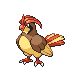 Pidgeotto | National dex number: 0017