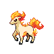 Ponyta | National dex number: 0077