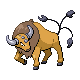 Tauros | National dex number: 0128