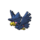 Murkrow | National dex number: 0198