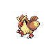 Pidgey