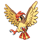 Pidgeotto