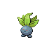 Oddish