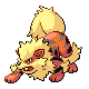 Arcanine