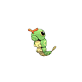 Caterpie | National dex number: 0010
