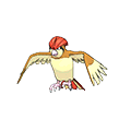 Pidgeotto | National dex number: 0017