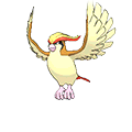 Pidgeot | National dex number: 0018