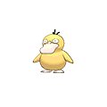 Psyduck | National dex number: 0054
