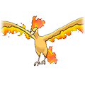 Moltres | National dex number: 0146