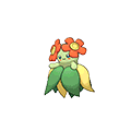 Bellossom | National dex number: 0182