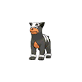 Houndour | National dex number: 0228