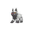 Poochyena | National dex number: 0261