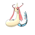Milotic | National dex number: 0350