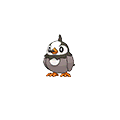 Starly | National dex number: 0396