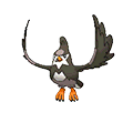 Staravia | National dex number: 0397