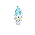 Pachirisu | National dex number: 0417