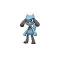 Riolu | National dex number: 0447