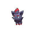 Zorua | National dex number: 0570