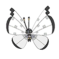 Vivillon