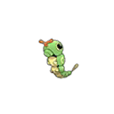 Caterpie | National dex number: 0010