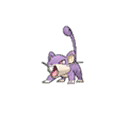 Rattata