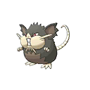 Raticate (Alolean) | National dex number: 0020-alola