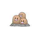 Dugtrio