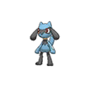 Riolu | National dex number: 0447