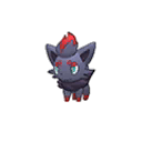 Zorua | National dex number: 0570