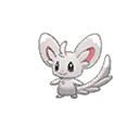 Minccino | National dex number: 0572