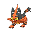 Torracat | National dex number: 0726